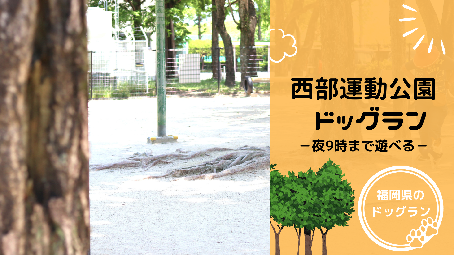 西部運動公園ドッグラン【細かすぎる福岡のドッグランレポ】｜むぎの肉